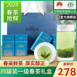 日照绿茶2024年新茶叶浓香型正宗板粟香豆香春茶礼盒装官方旗舰店