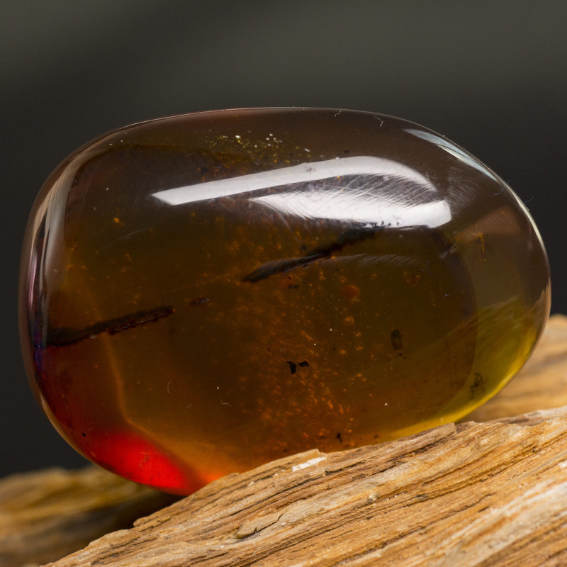 纯天然缅甸琥珀【金棕带大虫带火水胆裸料挂件】