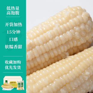 黑龙永胜 玉米新鲜糯玉米白糯玉米甜玉米10棒白糯东北玉米糯玉米