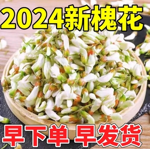 5斤河南省大卖新鲜洋槐花现摘现发应季天然野生蔬菜槐花骨朵包邮