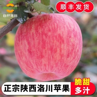 正宗陕西洛川苹果5斤新鲜水果延安红富士苹果顺丰发货自然搭档