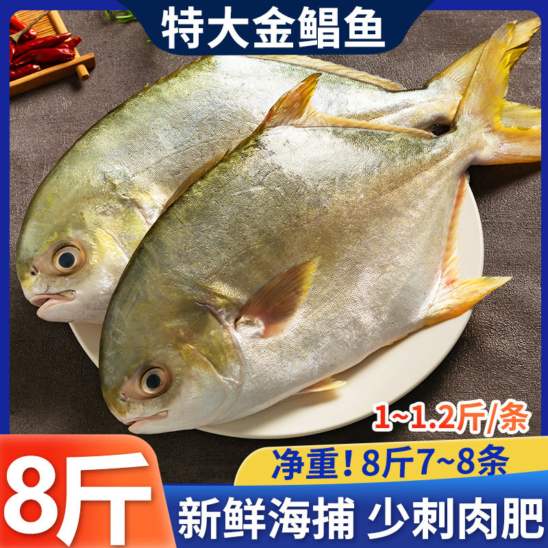 鲳鱼新鲜昌鱼白鲳鱼鱼肉鱼类海鲜冷冻海特大号8斤鲳鱼