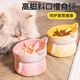 慢食碗狗宠物陶瓷食盆防打翻狗盆大口径斜口碗小狗碗猫碗保护颈椎
