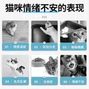 费洛蒙猫咪用情绪舒缓剂防应激喷雾安抚让镇定安静应急缓解信息素