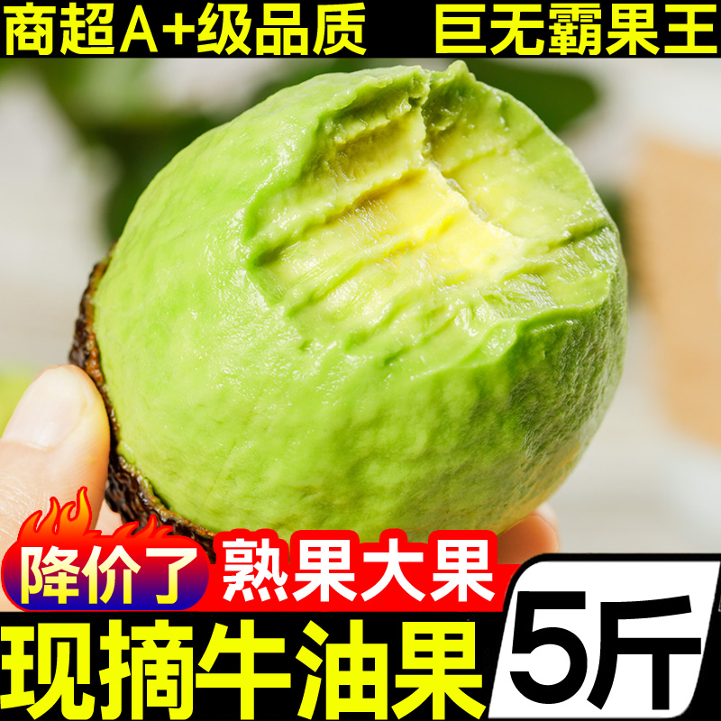 云南哈斯牛油果大果应当季新鲜水果熟