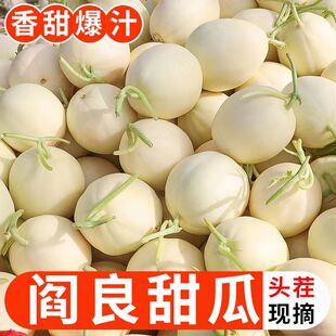 陕西阎良甜瓜10斤新鲜香瓜应季当季孕妇现摘时令水果整箱头茬蜜瓜