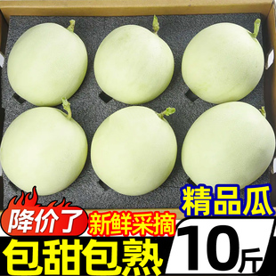 山东玉菇甜瓜10斤新鲜水果应当季香瓜蜜瓜冰淇淋脆甜密瓜整箱包邮