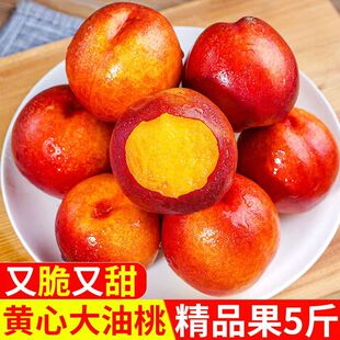 当季黄心油桃5斤大桃子新鲜水果3水密桃黄肉孕妇蜜脆桃10整箱包邮