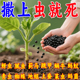 地上地下害虫撒施颗粒专用药土壤杀虫杀菌剂灭蚂蚁地老虎防虫颗粒