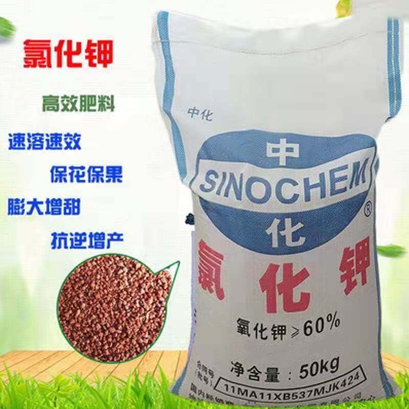 进口钾肥俄罗斯氯化钾红钾叶面肥保花促果蔬水溶肥通用型钾肥调水