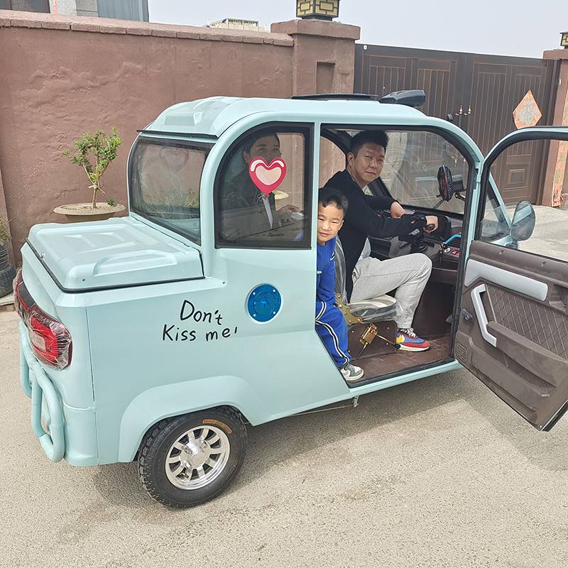 新国标可上牌电动三轮车电瓶代步车老头乐女士新款家用小型全封闭