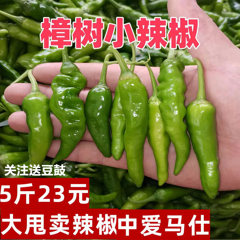 【5斤23元】樟树港新鲜辣椒新鲜青