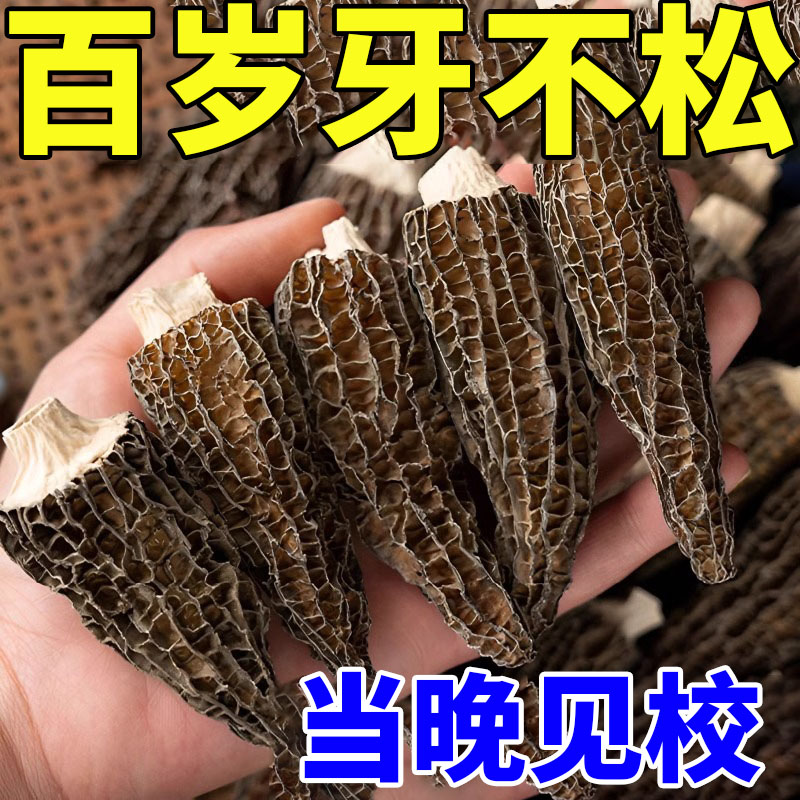 牙松动牙齿晃动牙根暴露疼痛牙龈出血