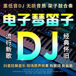 纯音乐车载u盘电子琴迪音架子鼓dj合奏曲抖音同款重低音伴奏优盘