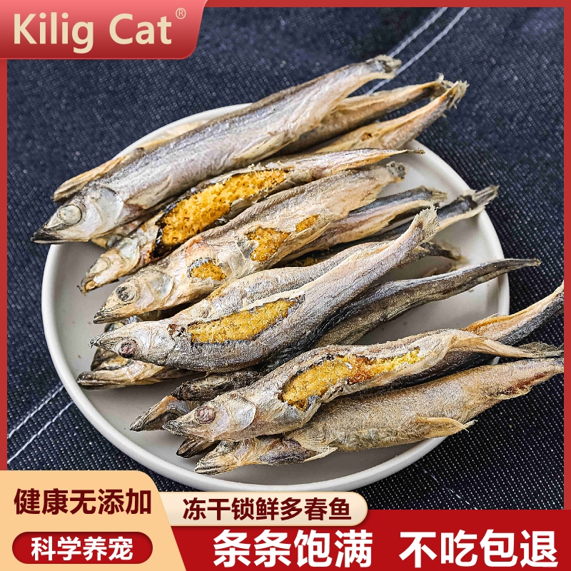 KiligCat猫咪零食冻干多春鱼