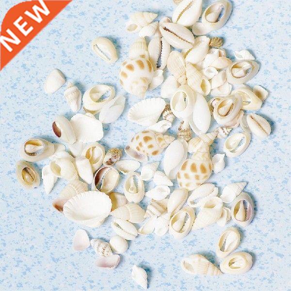 1bag(30g) Small Miscellaneous Conch Natural Craft Sea shell