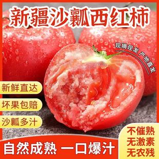 新疆普罗旺斯西红柿自然成熟新鲜水果当季孕妇生吃沙瓤番茄一整箱