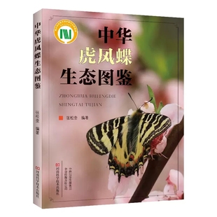 【书】中华虎凤蝶生态图鉴 张松奎 中华虎凤蝶分类地位生物学特性寄主蜜源植物种类和繁殖濒危原因和保育方法书籍