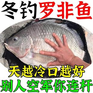 冬钓罗非鱼料颗粒小药打窝料钓饵虾腥饵香肝腥味野钓主攻非大罗鱼