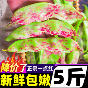 东北新鲜油豆角5斤现摘当季蔬菜黑龙江一点红油豆角整箱特产包邮