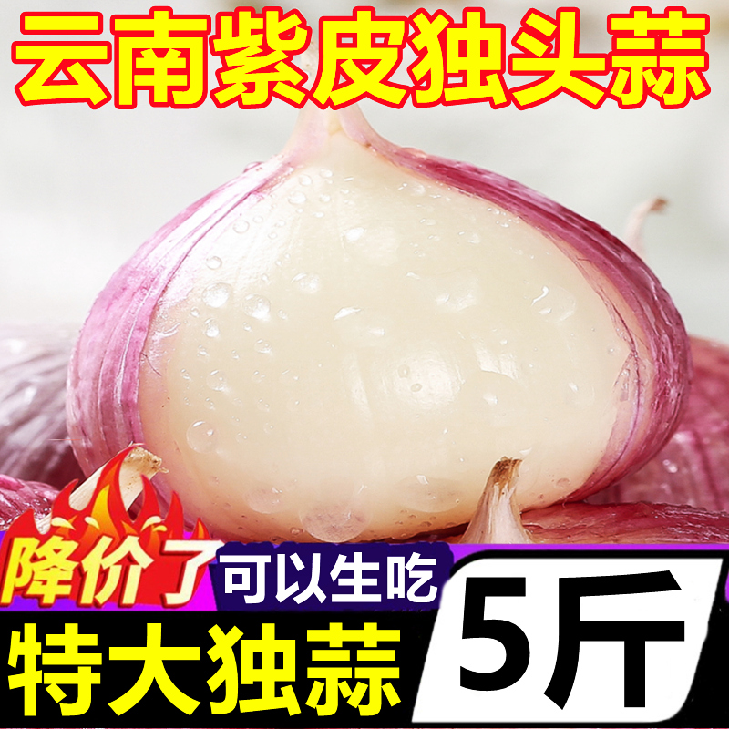 云南大理紫皮独头蒜5斤新鲜新蒜湿蒜