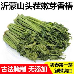 香椿芽咸菜山东特产当季新鲜手工腌制头茬嫩芽下饭菜酱菜油焖香椿