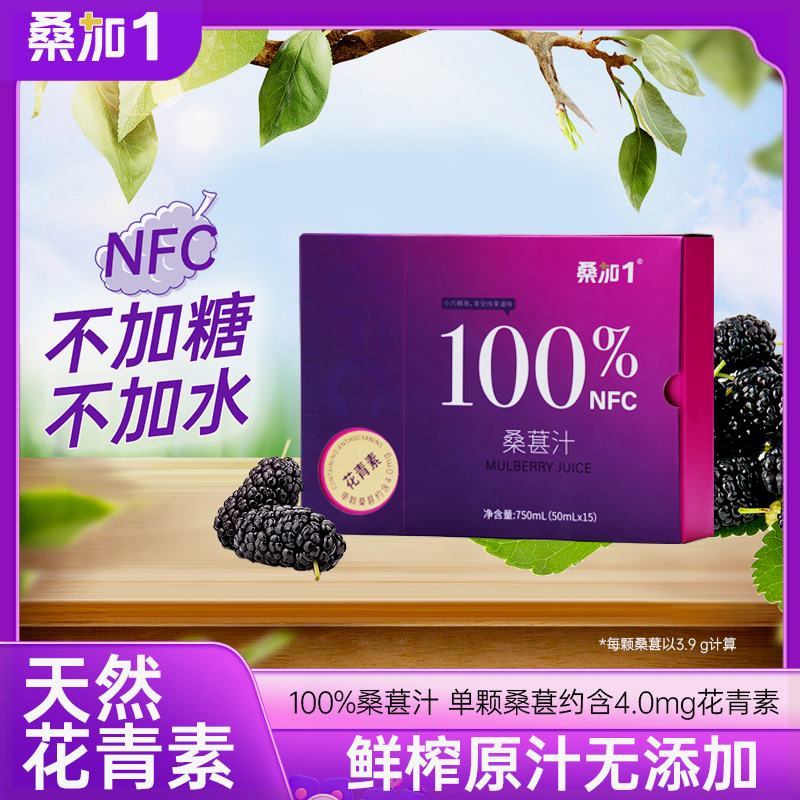 不添加水糖防腐剂100%纯黑桑葚鲜榨NFC纯桑葚果汁