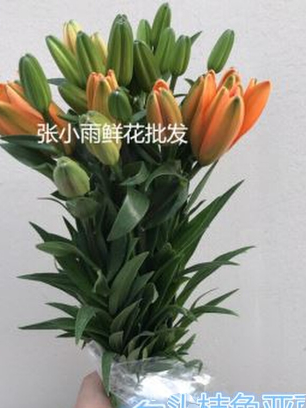 新家庭家居花瓶插花 黄色亚百百合 小头黄百合鲜切花 发货花苞促