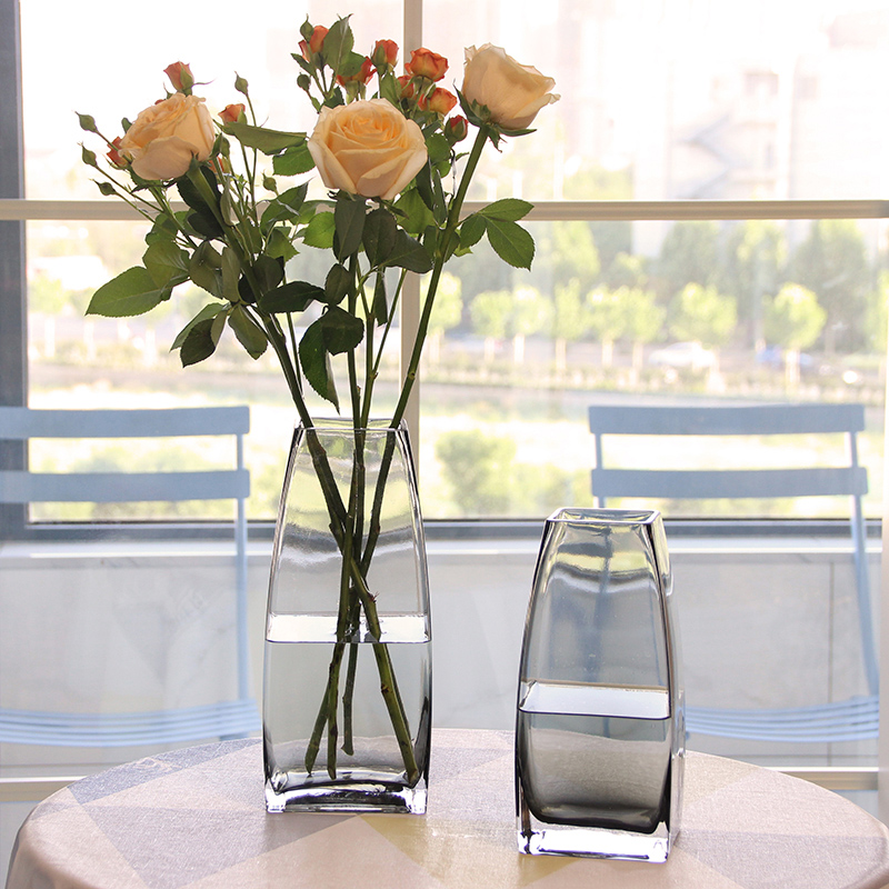 北欧玻璃花瓶透明客厅插花摆件水养餐