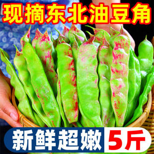 东北油豆角现摘新鲜5斤蔬菜黑龙江一点红油豆角东北特产整箱包邮