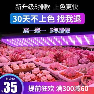 正阳全光谱led多肉补光灯家用上色快防徒长仿太阳光花卉植物生长