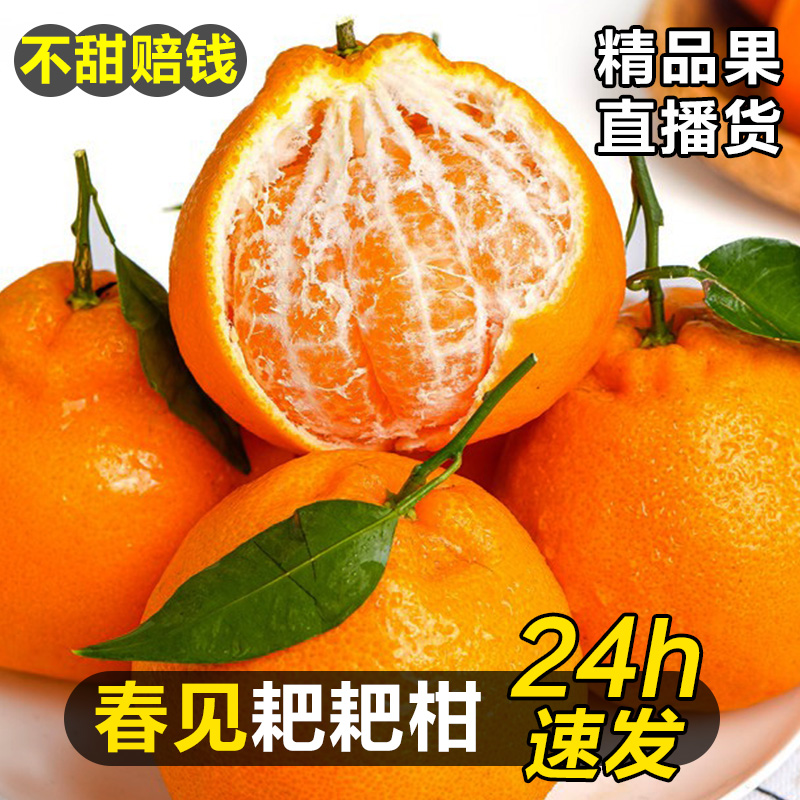 正宗四川春见耙耙柑9斤橘子新鲜水果