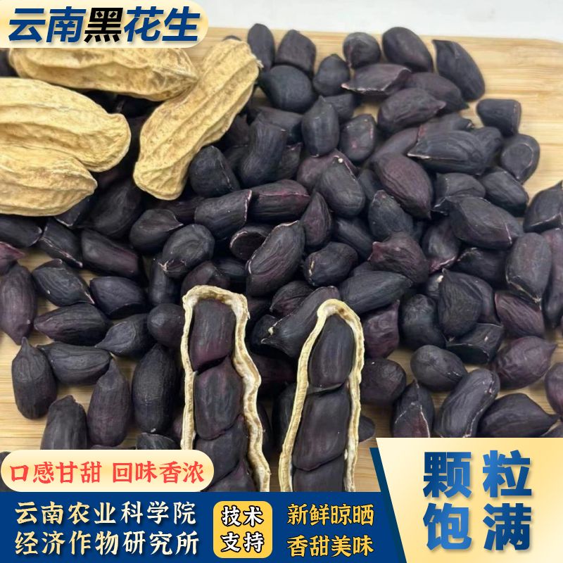 云南特产新鲜生花生米下酒菜紫皮即食零食包装食品追剧解馋小吃