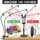 太阳光植物补光生长灯全光谱多肉蔬菜花卉绿植育苗可定时110V220V
