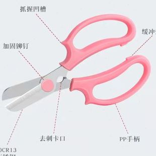 花艺剪刀不锈钢修枝剪插花绿化园林园艺剪玫瑰花去刺钳子花枝剪子