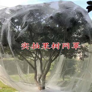 果树防虫网大棚樱桃杨梅网罩防虫防鸟多肉莲雾桃树蔬菜蓝莓网家用