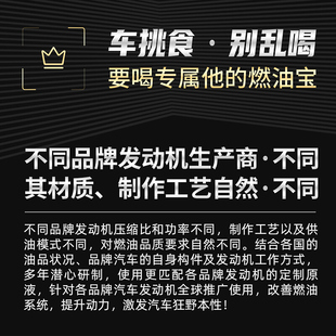 德国HB奥迪燃油宝汽车大众g17汽油添加剂A4A6LQ5Q7专用除积碳清洗