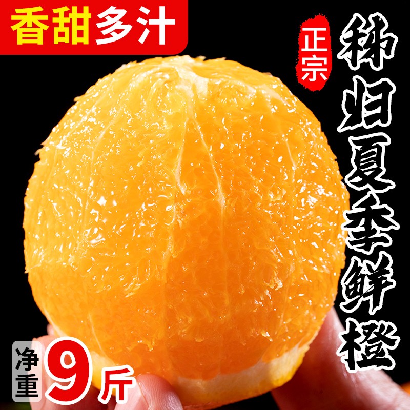 秭归夏橙10斤新鲜橙子水果当季冰糖