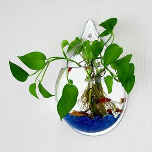 养花玻璃瓶 水培创意绿萝绿植花盆挂墙器皿大号简约壁挂玻璃花瓶