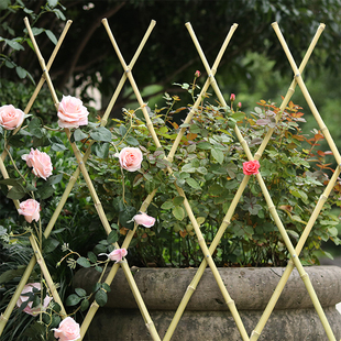 竹篱笆栅栏围栏植物爬藤花架庭院花园菜园竹子护栏户外伸缩竹围墙