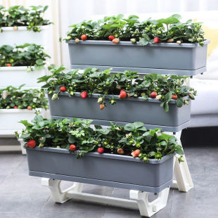 特大号花盆家用塑料种菜专用箱花箱长方形多层花架阳台菜