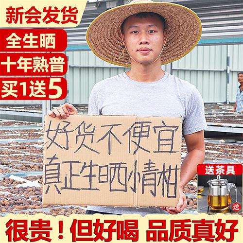 正宗新会小青柑普洱茶特级天马金桔茶