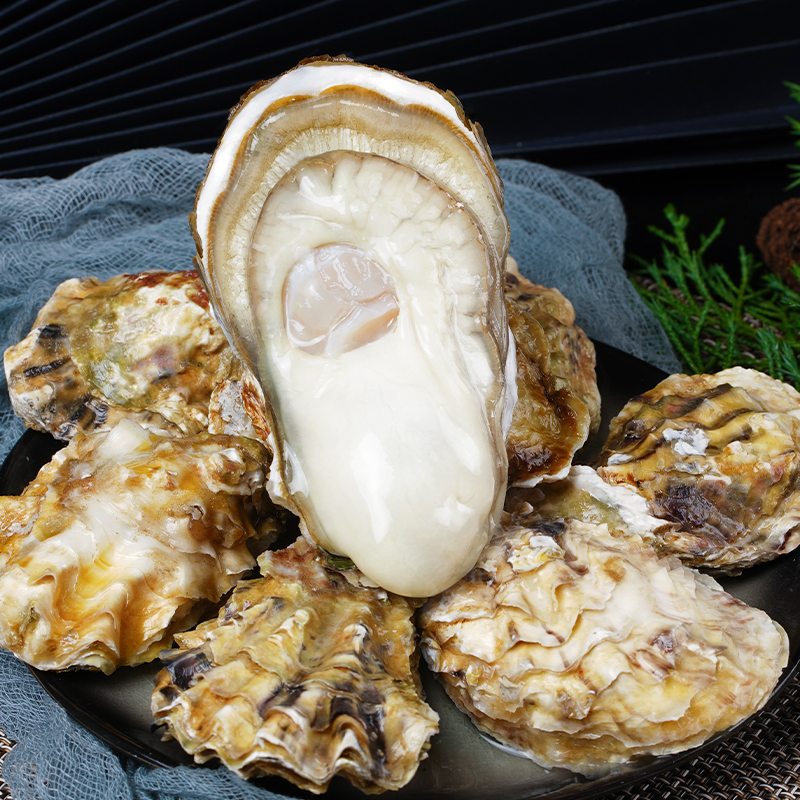 顺丰贝司令乳山生蚝鲜活新鲜海牡蛎带壳生吃海蛎子4.5斤