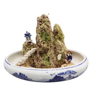 吸水石盆景上水石假山石奇石鱼缸造景家居装饰水秀石头奇石小摆件