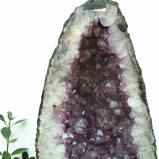 天然紫晶洞摆件重26公斤原石矿物晶体大颗粒紫水晶洞雷公蛋高58CM