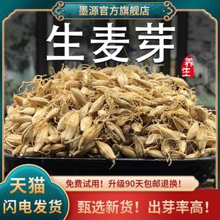 麦芽中药材生麦芽茶大麦芽牙回儿泡水童奶可搭谷芽山楂陈皮鸡内金