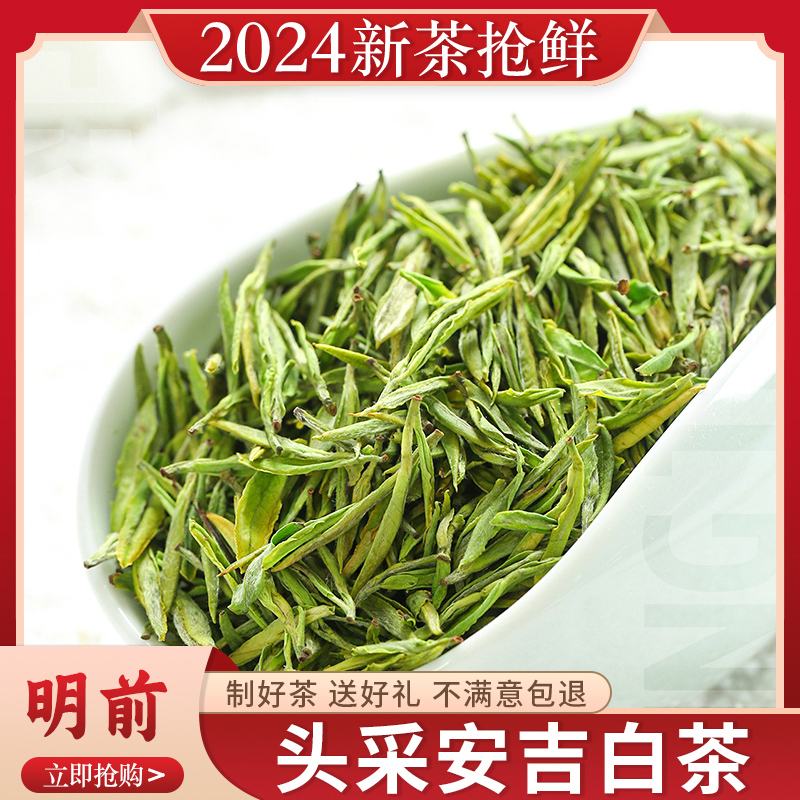 安吉白茶2024年新茶叶自己喝25