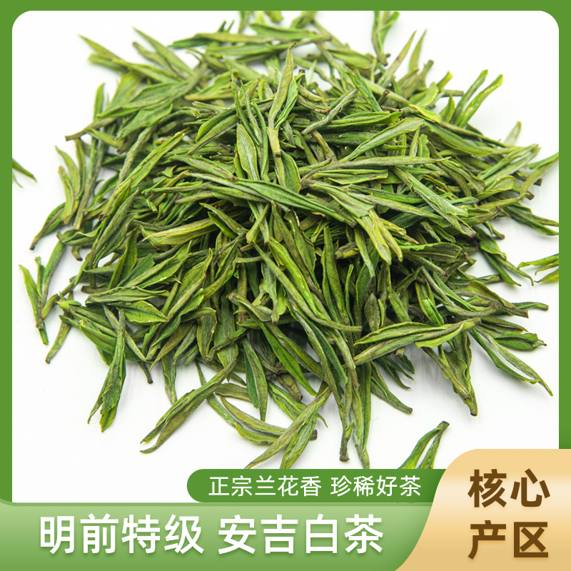 安吉白茶2024年新茶叶自己喝高山安吉明前白茶绿茶200g罐装口粮茶