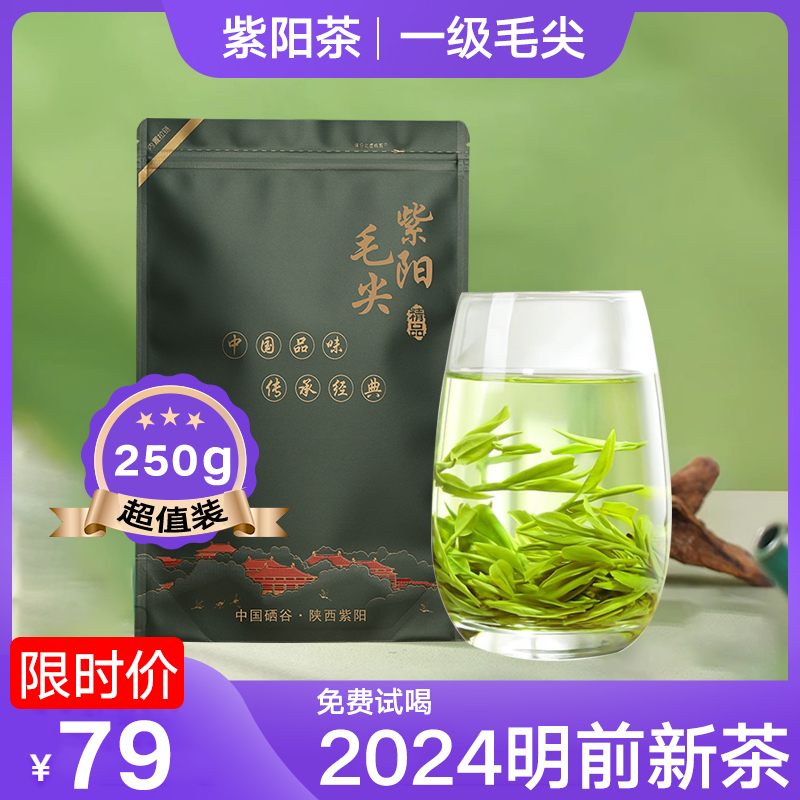 紫阳毛尖2024新茶陕西安康紫阳茶