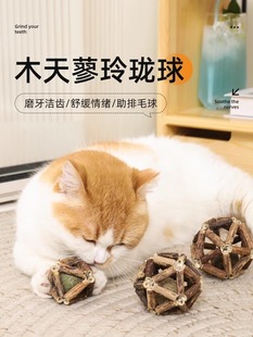 木天蓼磨牙棒猫薄荷球猫玩具自嗨解闷逗猫棒耐咬猫草球小猫咪用品